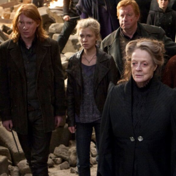 Gray Grommet Butterfly Tank ASO Fleur Delacour in Harry Potter - Picture 4 of 5